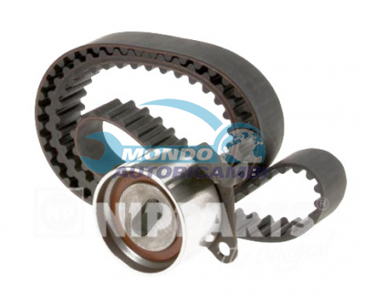 Kit Cinghie Dentate