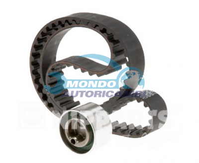 Kit Cinghie Dentate