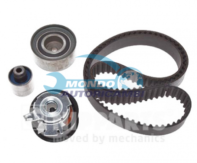 Kit Cinghie Dentate