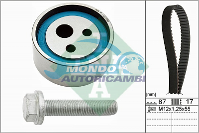 Timing Belt Kit