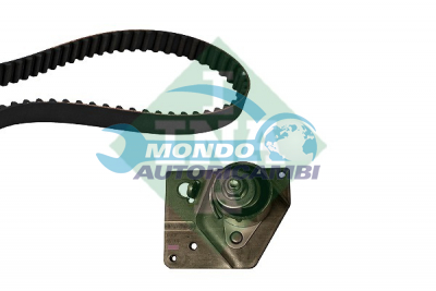Timing Belt Kit
