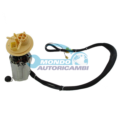 Ensemble pompe à carburant immergée