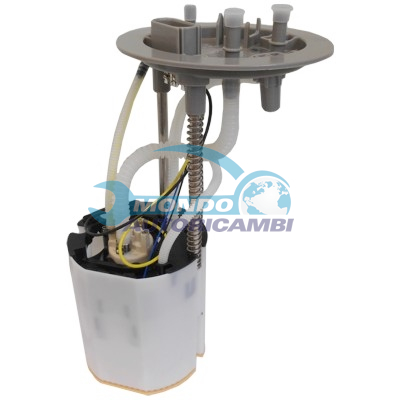 Ensemble pompe à carburant immergée