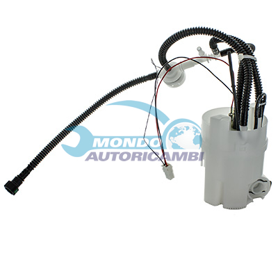 Ensemble pompe à carburant immergée