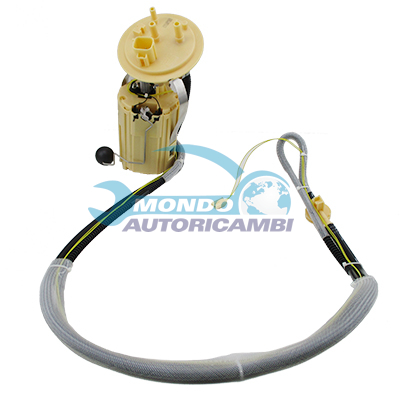 Ensemble pompe à carburant immergée