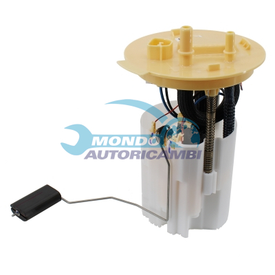 Ensemble pompe à carburant immergée