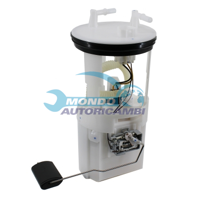 Ensemble pompe à carburant immergée