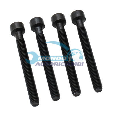 Screw, Injection Nozzle Holder (KIT 4)
