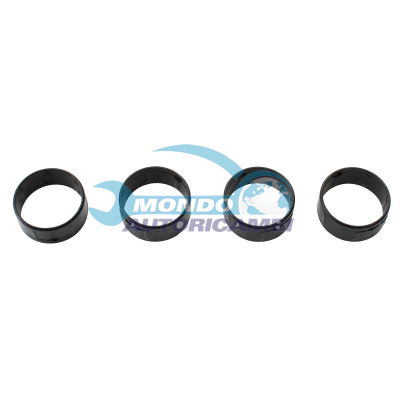 Injector seal ring (4 pcs kit)