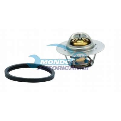 Thermostat, coolant