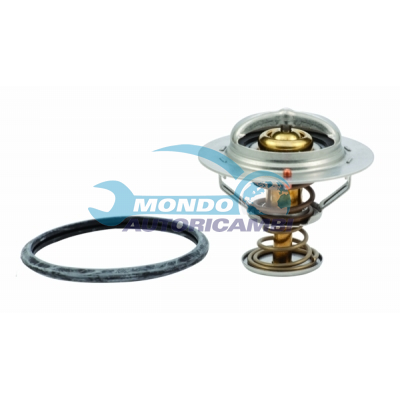 Thermostat, coolant