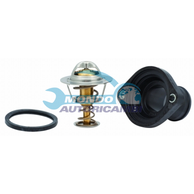 Thermostat, coolant