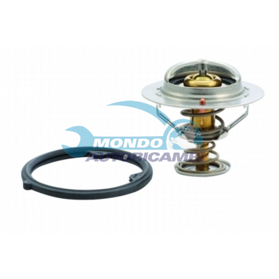 Thermostat, coolant
