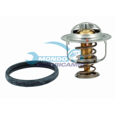 Thermostat, coolant