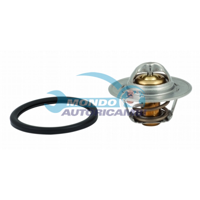 Thermostat, coolant