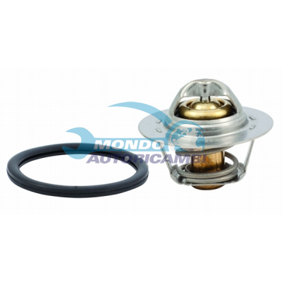 Thermostat, coolant