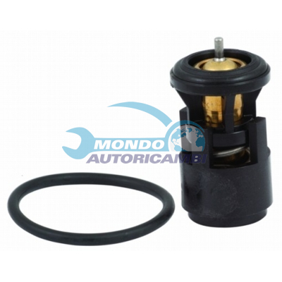 Thermostat, coolant