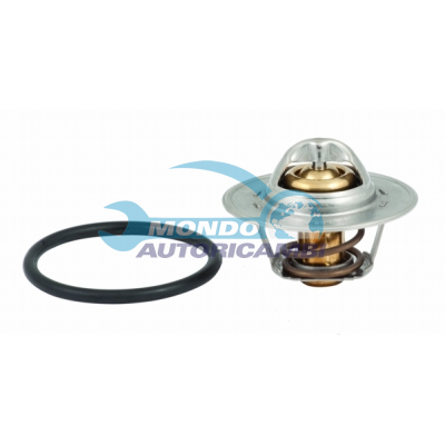 THERMOSTAT