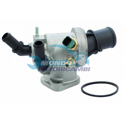 Thermostat, coolant