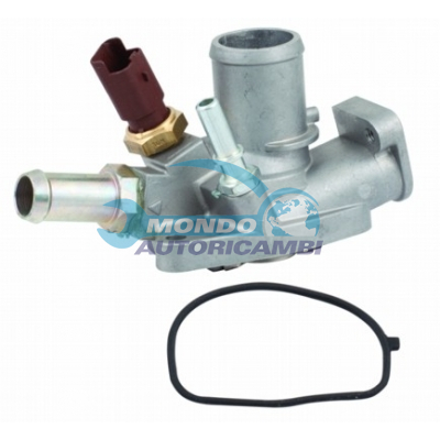 Thermostat, coolant