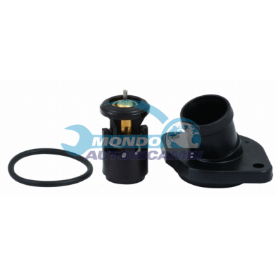 Thermostat, coolant