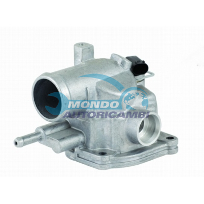 Thermostat, coolant