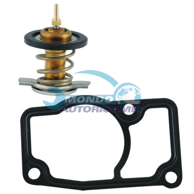 Thermostat, coolant