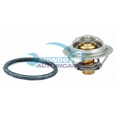 THERMOSTAT