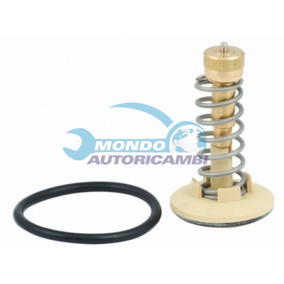 Thermostat, coolant