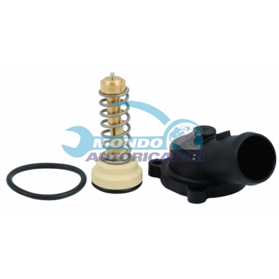Thermostat, coolant