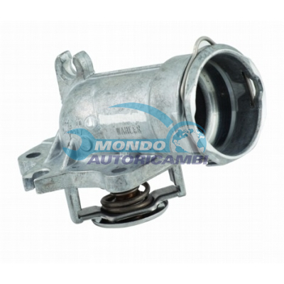 THERMOSTAT
