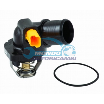 Thermostat, coolant