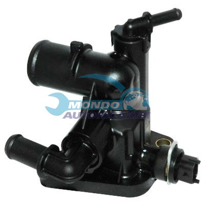 Thermostat, coolant