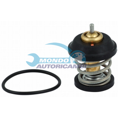 Thermostat, coolant