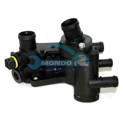 Thermostat, coolant