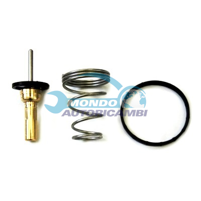 Thermostat, coolant