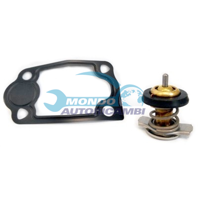 Thermostat, coolant