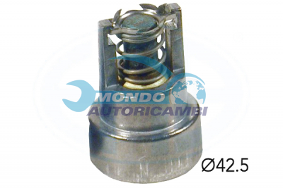 Thermostat, coolant
