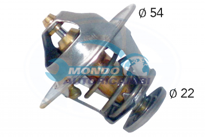 Thermostat, coolant