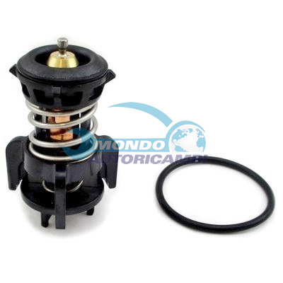Thermostat, coolant