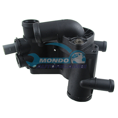 Thermostat, coolant