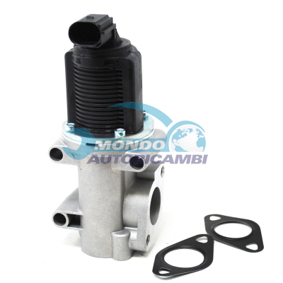 EGR Valve