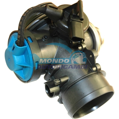 EGR Valve