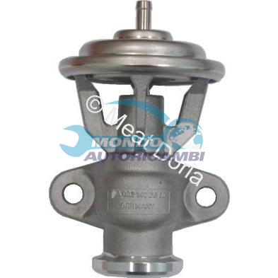 EGR Valve