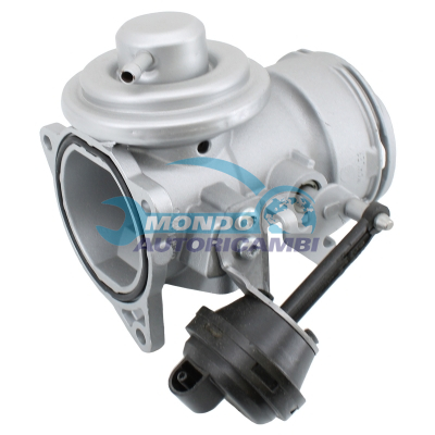 EGR Valve