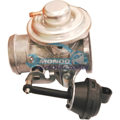 EGR Valve