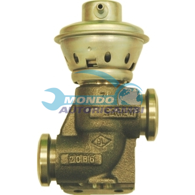 EGR Valve