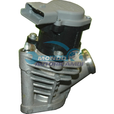 EGR Valve
