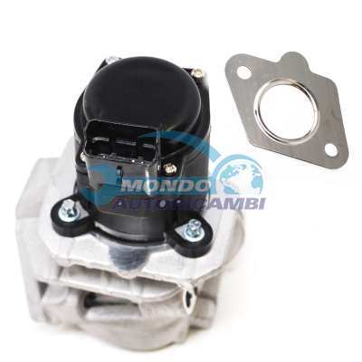 EGR Valve