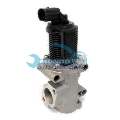 EGR Valve